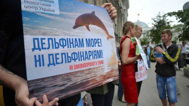 Дельфінарій у Києві відімкнуть від каналізації