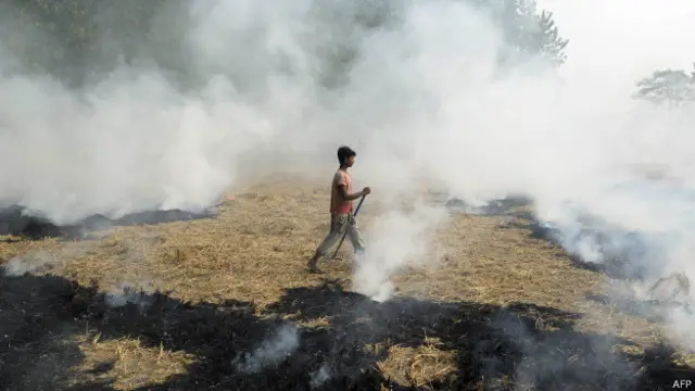 印度农村燃烧秸秆也是造成空气污染的主要原因之一