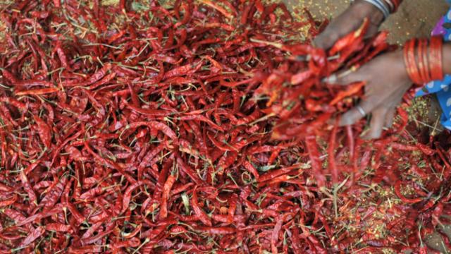 某些超辣辣椒能够产生类似于心脏病的体感。 (图片来源: Getty Images)