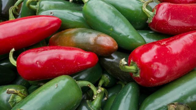 吃辣椒–即便是非常辣的辣椒–也不会对你的身体造成持续性伤害。(图片来源: Getty Images)