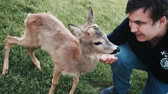 Саакашвілі