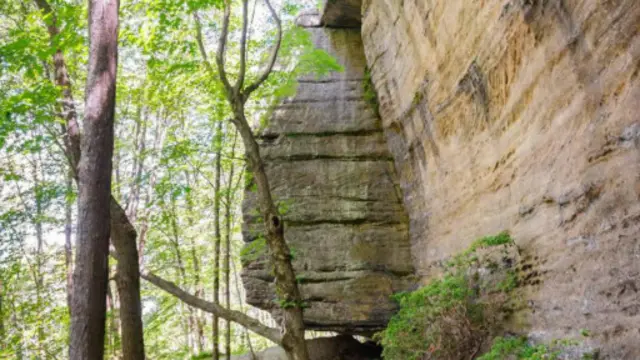 （图片来源：Zack Frank）