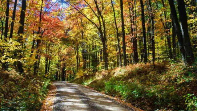 （图片来源：Zack Frank）