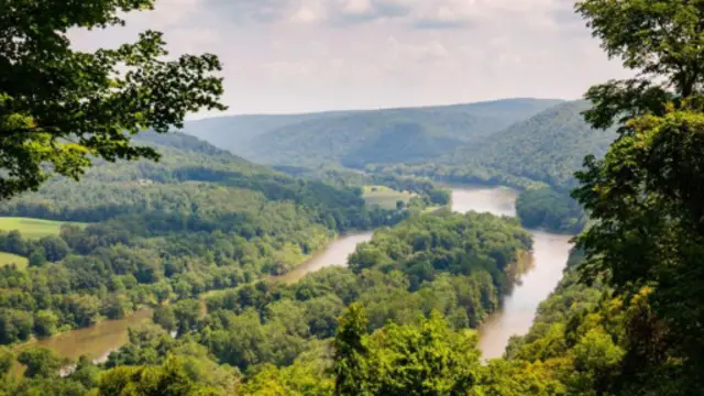 （图片来源：Zack Frank）