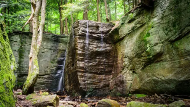 （图片来源：Zack Frank）