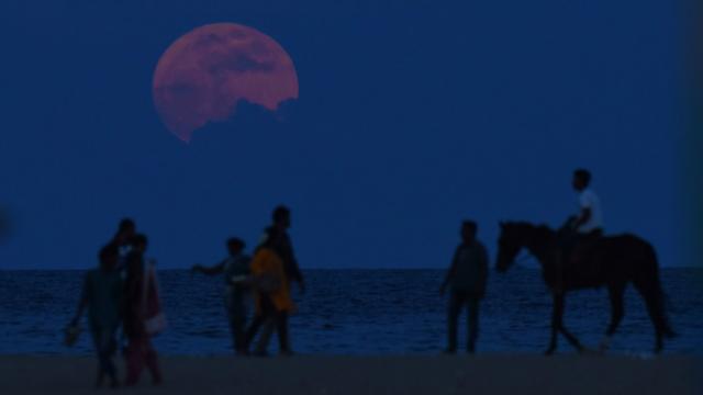 印度金奈海旁所見的「超級月亮」（14/11/2016）