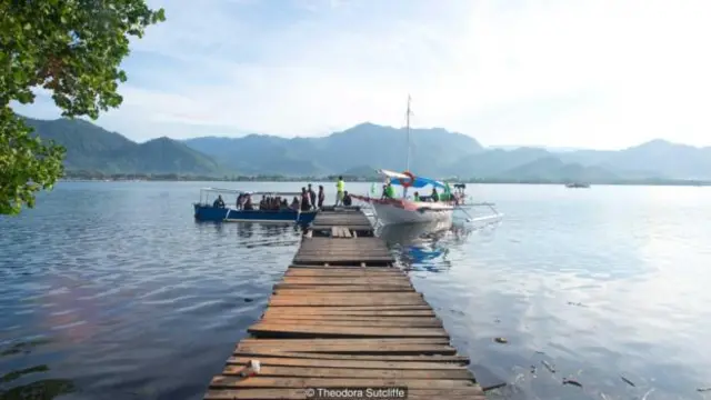 阿里慕丁的船很出名,被称为敞舱船文件库,或载书之船(图片来源:西奥多拉·克里夫)