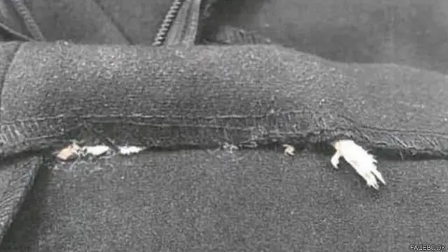 一只老鼠脚从内里接缝的地方露出来