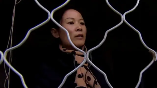 劉慧珍說，自己有權參加民主選舉。