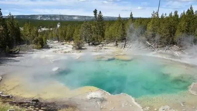 У США чоловік розчинився в кислотному термальному джерелі