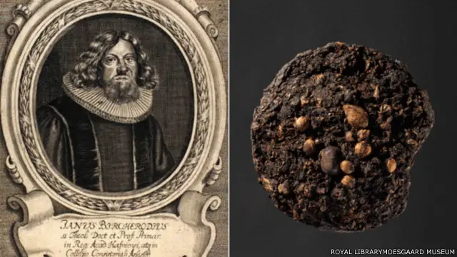 У Данії ідентифікували 300-річні екскременти эпископа