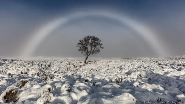 摄影师尼科尔森捕捉到了“白色长虹”的场面。