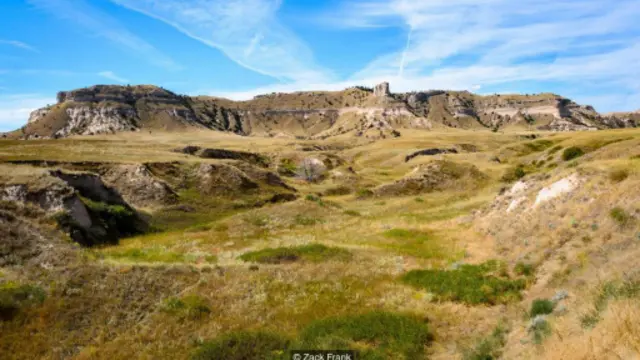 （图片来源：Zack Frank）