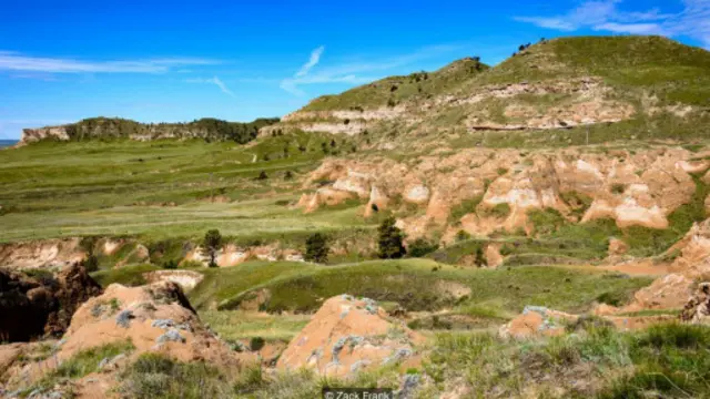 （图片来源：Zack Frank）