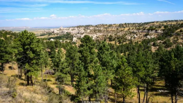 （图片来源：Zack Frank）