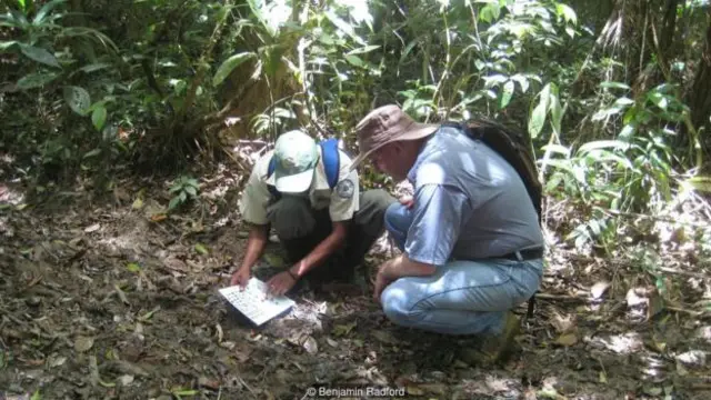  拉德福德和同事追踪该神秘野兽的下落。（图片来源: Benjamin Radford）