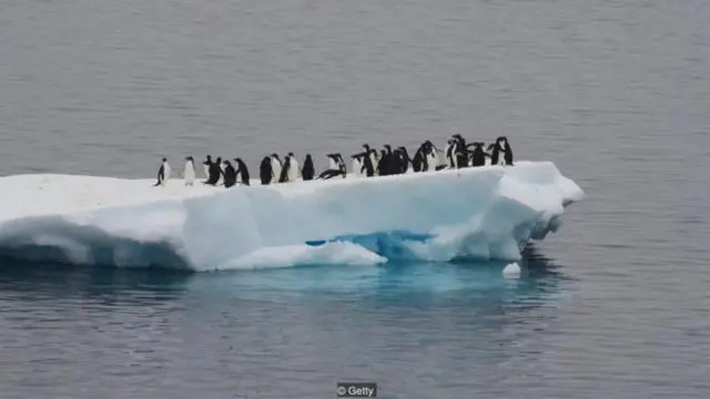 只能断断续续听到一些响声——当你偶尔走进企鹅的领地时，或者当冰层破裂使得部分冰山滑入海洋时（图片来源：Getty）