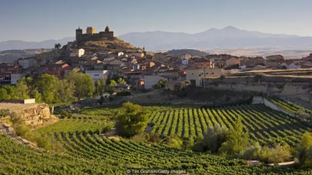  西班牙北部的巴斯克地区拥有众多葡萄园，生产红葡萄酒和白葡萄酒（图片来源：Tim Graham/Getty Images）