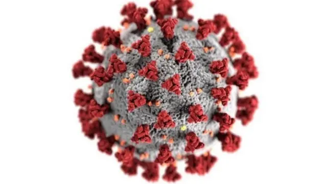 વાઇરસનું મૉડલ