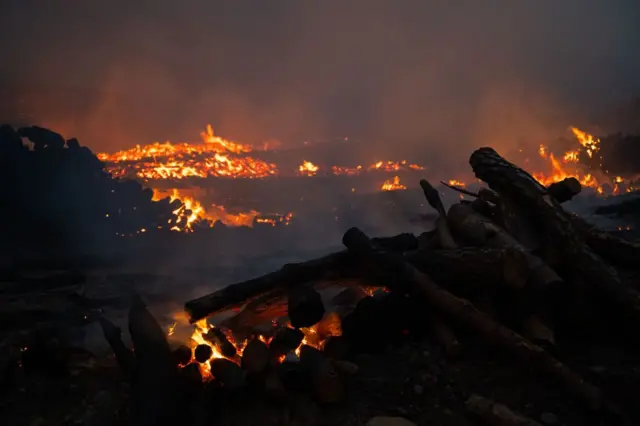 दक्षिण कोरियात वणव्याचा हाहाकार