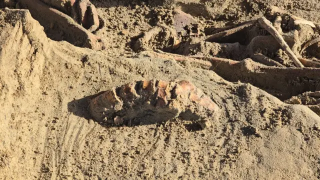 செம்மணி மனிதப் புதைகுழி