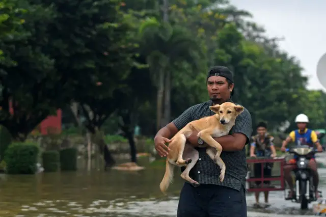 လမ်းဘေး ခွေးတွေတိုင်းကို ခွေးရူးရောဂါကာကွယ်ဆေး၊ မေးခိုင်ရောဂါ ကာကွယ်ဆေး ၊ သားဆက်ခြားဆေး ထိုးပေးဖို့ တိုက်တွန်းကြပါတယ်။