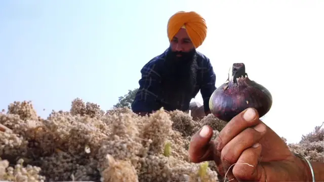 నల్ల ఉల్లి