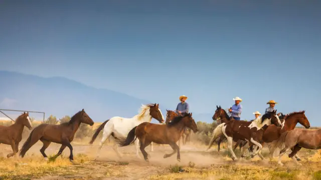 Vaqueros en Utah. 