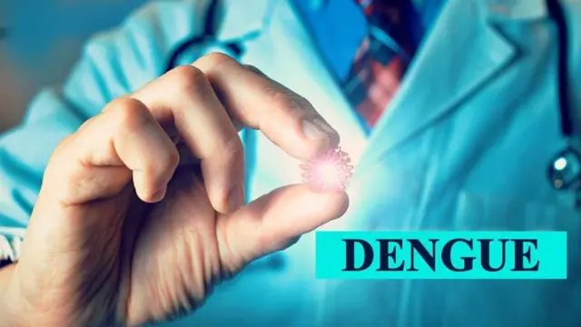 డెంగీ