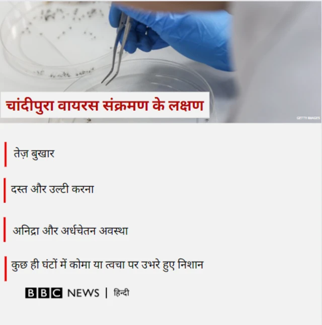 वायरस के लक्षण