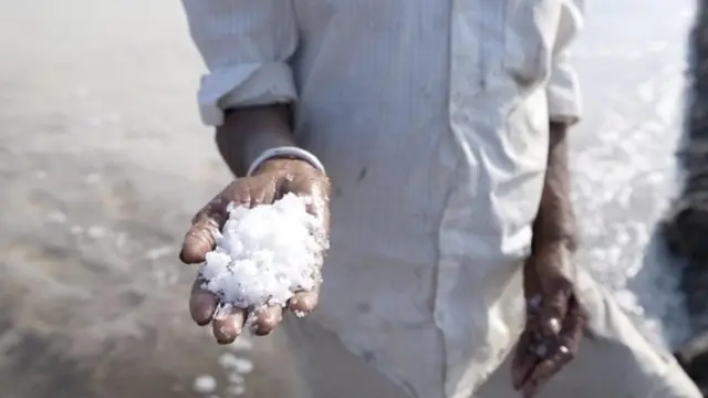 प्रातिनिधिक फोटो