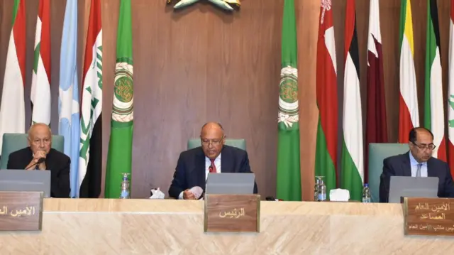 የግብጽ የውጭ ጉዳይ ሚንስትር ሳሚ ሽኩሪ (ከመሃል)