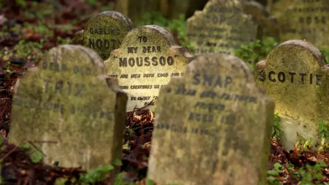 Lápidas en un cementerio