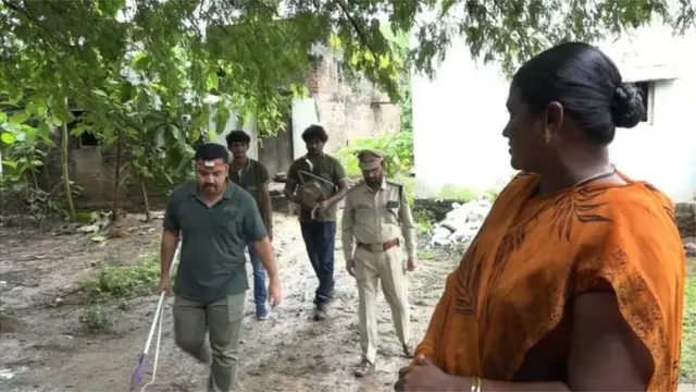 किंग कोब्रा