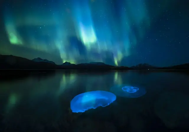 Água-viva lunar fotografadarobô f12 bet grátisum fiorde enquanto a aurora boreal brilha no alto