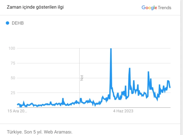 Grafik, Google'da DEHB ile ilgili aramalardaki belirgin artışı gösteriyor.