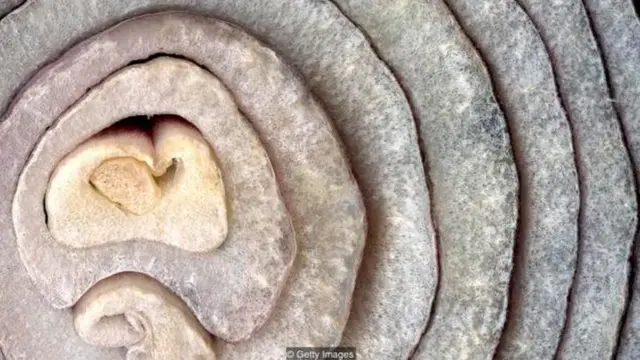 महिला कर्मचारी