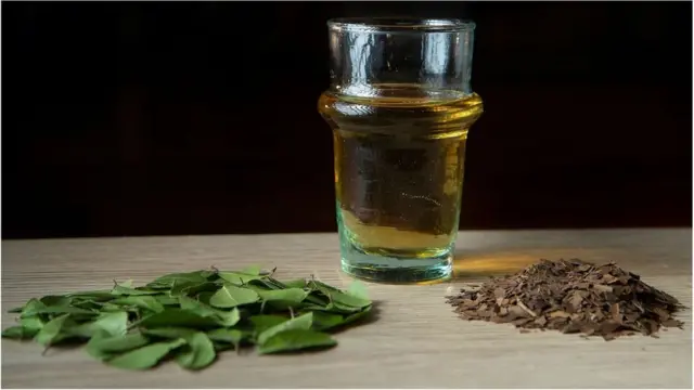 برسوں تک امریکیوں کو یہ معلوم نہیں تھا کہ پویون کے پتے بھونے جا سکتے ہیں۔