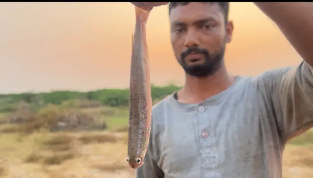 સુરેશ માછીઅનુસાર નર્મદા અને દરિયામાં પહેલા 35થી વધુ પ્રજાતિની માછલીઓ મળી આવતી હતી, જેમાં હવે ઘટાડો થયો છે