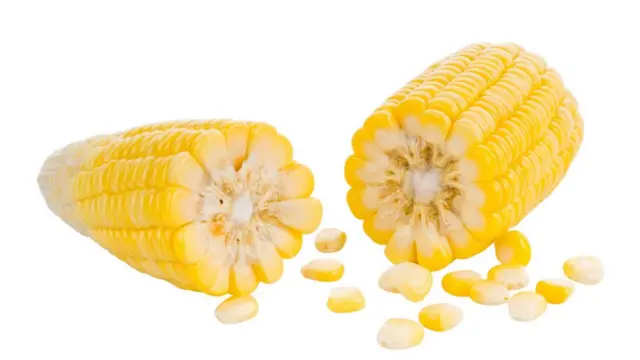 మొక్కజొన్నలు