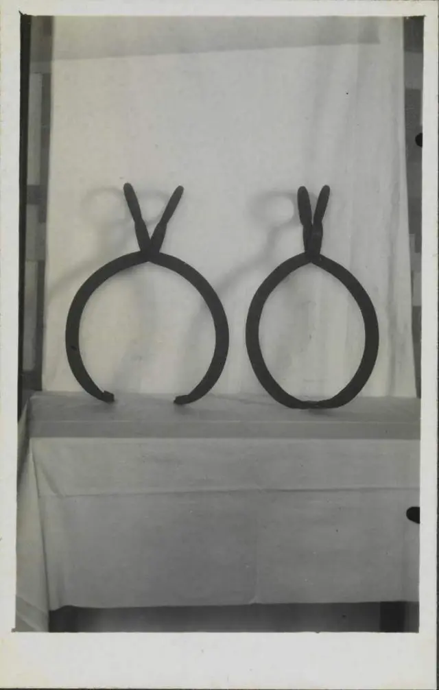 Imagem de um instrumento usado para colocar no pescoço