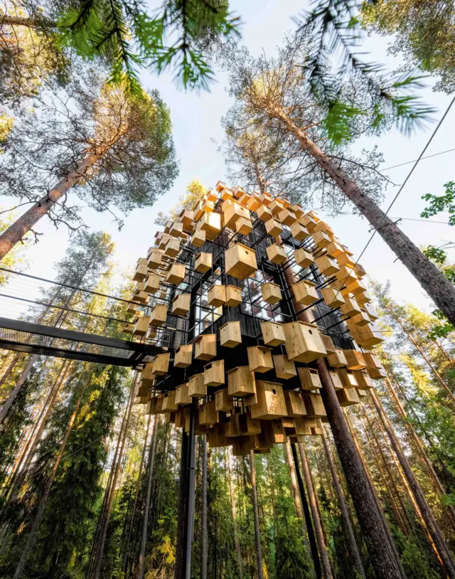 Una estructura cúbica suspendida en lo alto de un bosque, sostenida sobre unos árboles y unas vigas. La estructura está conectada a un puente colgante. Además, rodeando la estructura cúbica, hay una grilla metálica de la cual se desprenden lo que parecen ser decenas de casas para pájaros de madera.