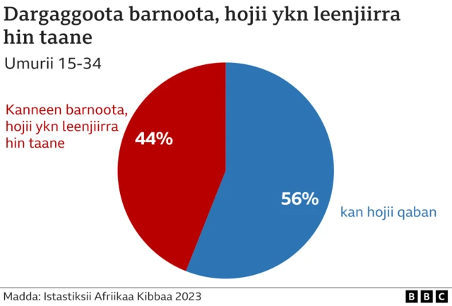 Barnoota, hojii ykn leenjii dhabiinsa