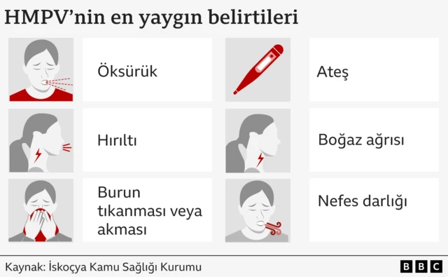 hmpv'nin öksürük, ateş, hırıltı, burun tıkanması veya akması, boğaz ağrısı veya nefes darlığı gibi belirtileri olabildiğini gösteren bir grafik