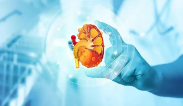 இளைஞர்களிடையே அதிகரிக்கும் சிறுநீரக செயலிழப்பு