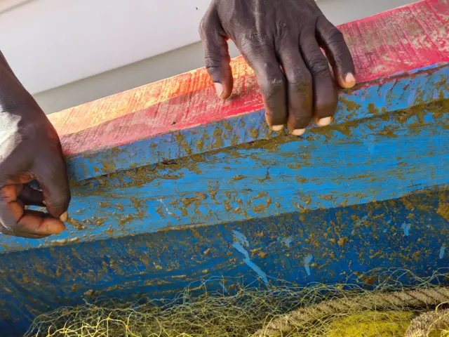 Des matières vertes collées à une pirogue et dans un filet de pêche