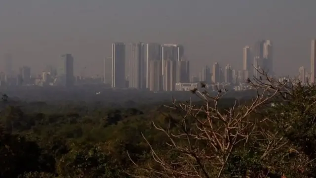 आरे, मुंबई मेट्रो, वाहतूक, पर्यावरण