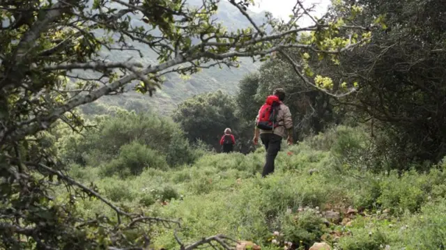 प्रातिनिधीक फोटो