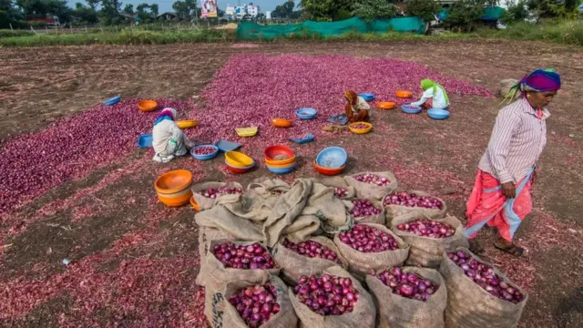 क्या प्याज़ के दाम बढ़ने की वजह फसल ख़राब होना है या कारण कुछ और हैं?