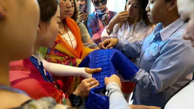 مزرعه پرورش تمساح